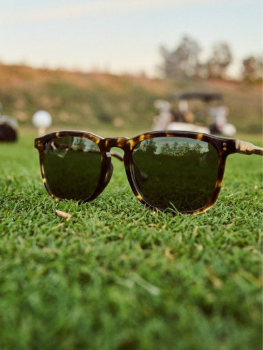 WILEY REC - BRINDLE TORTOISE/VECTOR COLORBOOST POLARIZED