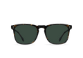 WILEY - BRINDLE TORTOISE/GREEN POLARIZED