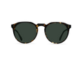 REMMY - BRINDLE TORTOISE / GREEN POLARIZED