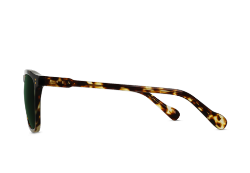 WILEY REC - BRINDLE TORTOISE/VECTOR COLORBOOST POLARIZED