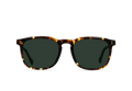 WILEY REC - BRINDLE TORTOISE/VECTOR COLORBOOST POLARIZED