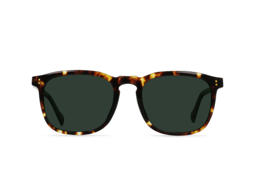 WILEY REC - BRINDLE TORTOISE/VECTOR COLORBOOST POLARIZED
